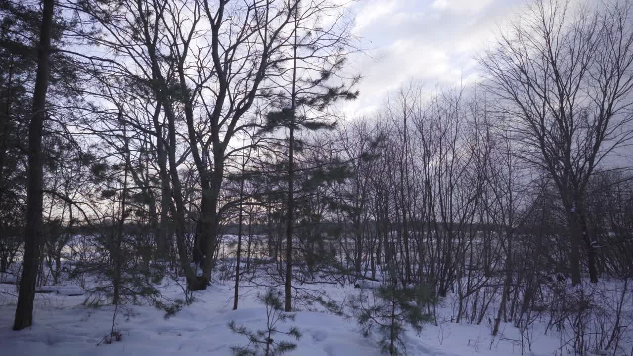 在冬天沿着结冰的高加河的河岸散步视频素材