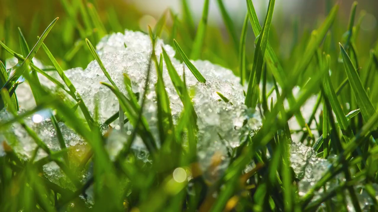 融化的雪变成液态水的延时拍摄。从冬天到春天的季节变化视频素材