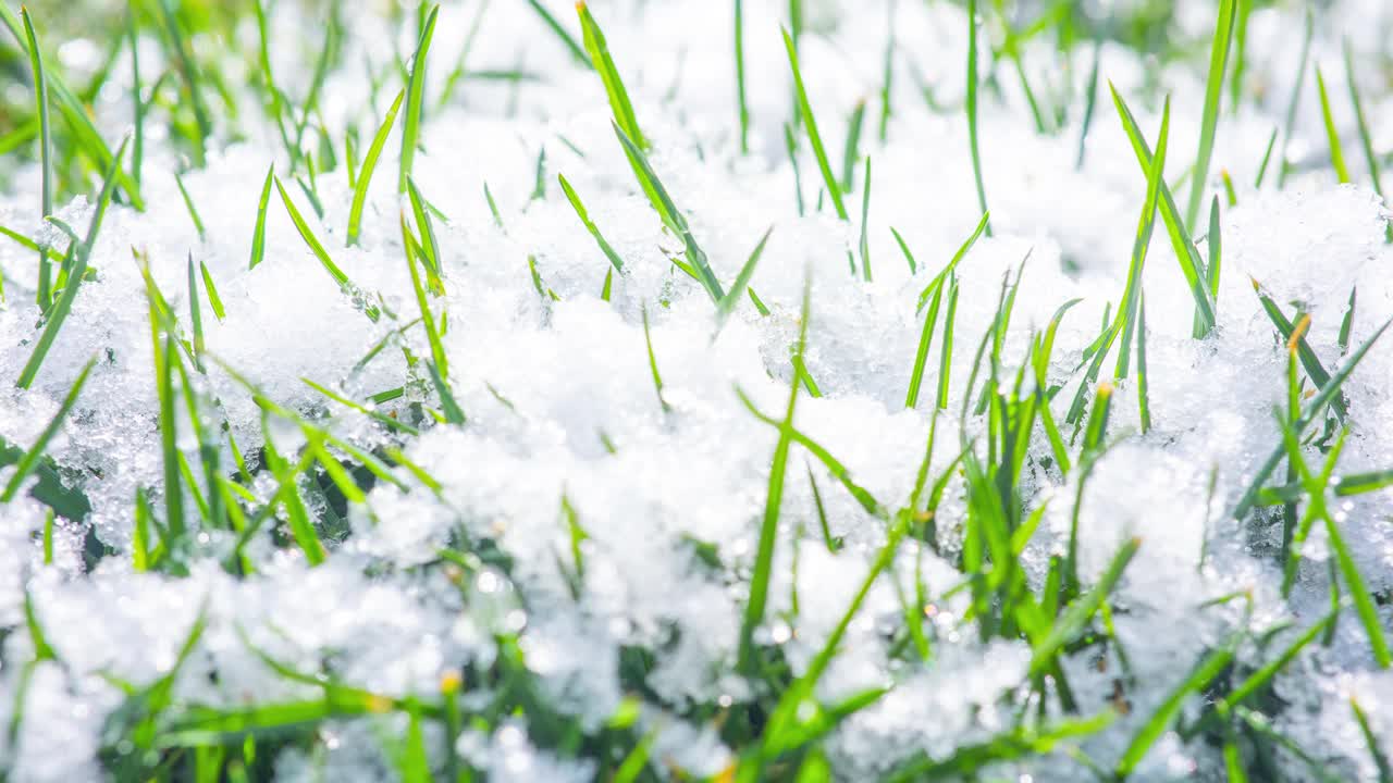 融化的雪变成液态水的延时拍摄。从冬天到春天的季节变化视频素材