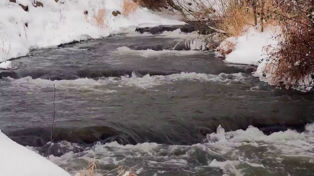 在德国的一条河上的冬季流水景观在4K视频素材