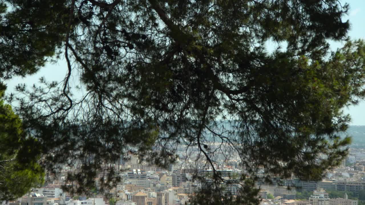 在一个阳光明媚的日子里，倾斜到一个遥远的港口城市，周围是郁郁葱葱的松树，船只和城市建筑延伸到地平线上——西班牙的马略卡岛视频素材