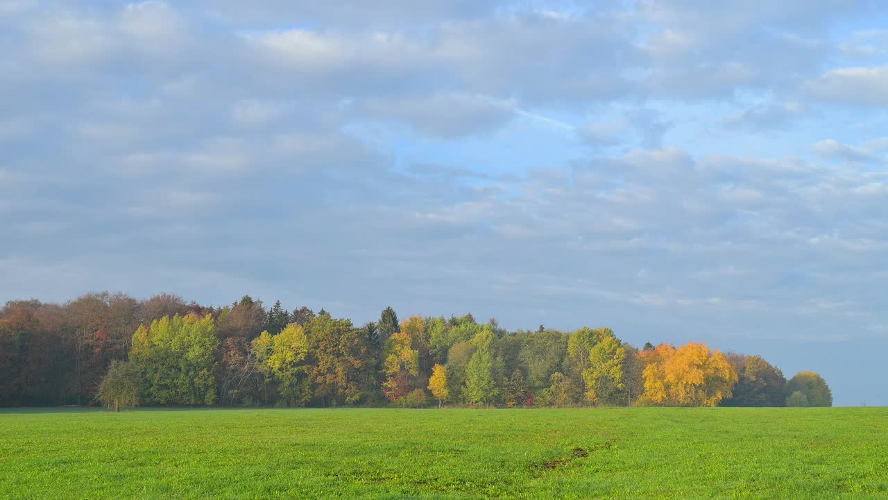 秋天的风景，维尔布伦，Michelstadt，奥登瓦尔德，黑塞，德国视频素材