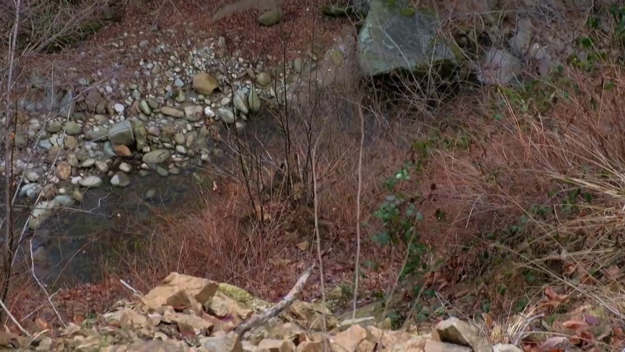 从含磷岩屑的斜坡上垂直的山涧盘视频下载