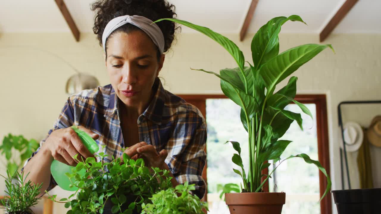 混血妇女在家里给植物浇水视频素材