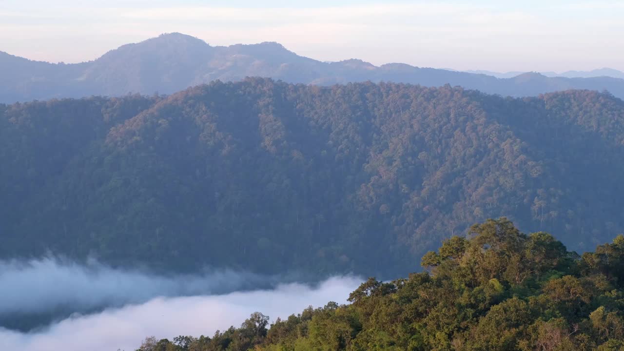 景观绿化，热带雨林和小山与雾海视频素材