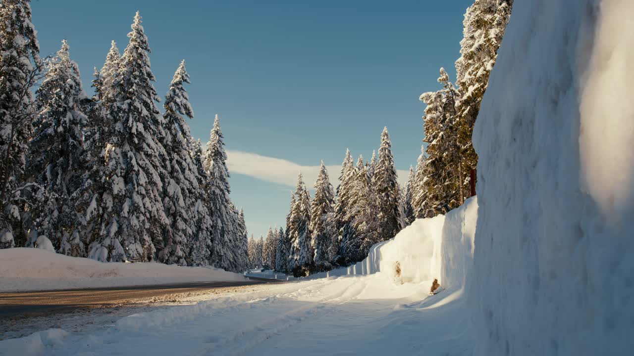 沿着白雪覆盖的高原云杉的路视频素材