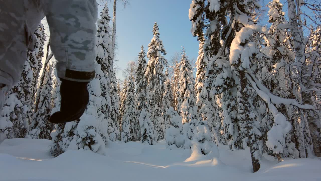 男滑雪者在积雪的树林中移动视频下载