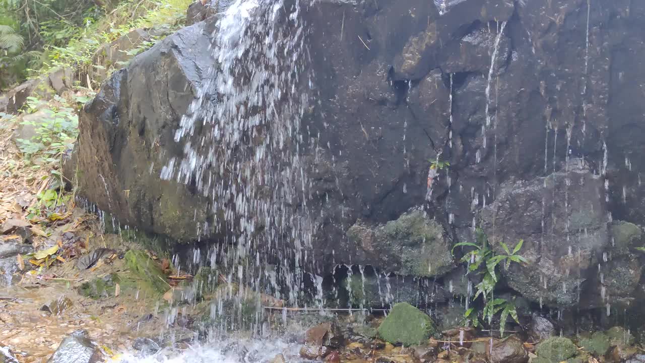 水滴从岩石上滴下来视频素材