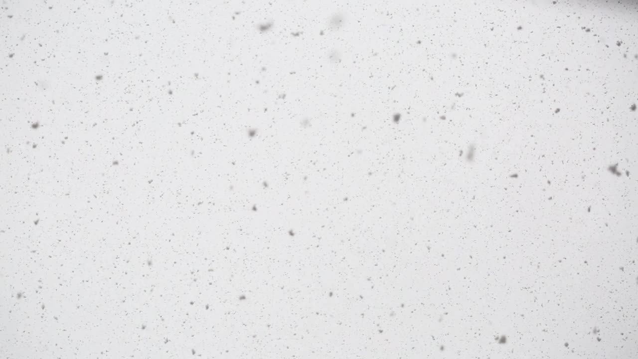 自然降雪孤立地落在白色背景上视频素材