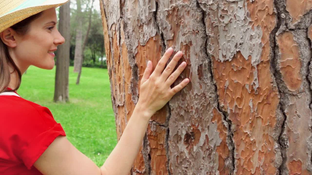 女人的手在一棵老树上慢动作地滑动。女性手触摸树干的硬壳表面视频素材