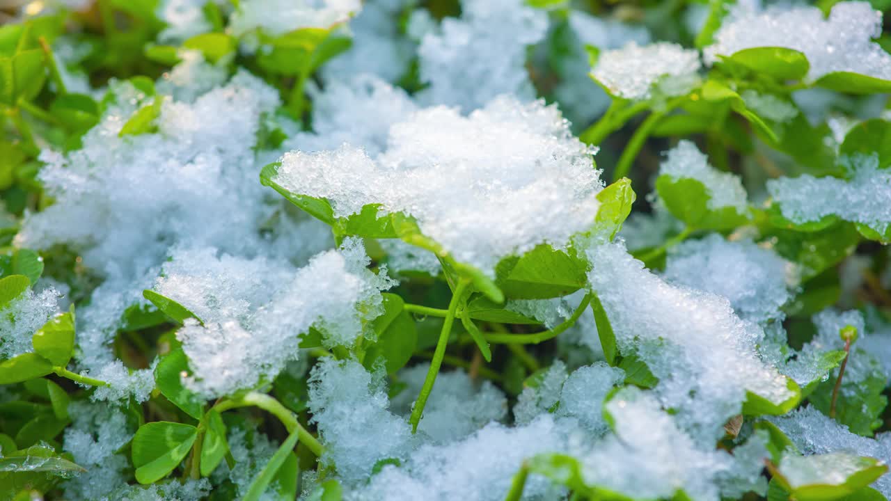 春雪融化的延时拍摄视频素材