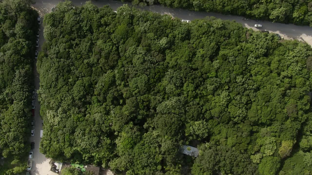 在绿树成荫的道路上的车辆鸟瞰图，无人机向前飞行的景观在阳光灿烂的一天-图卢姆，墨西哥视频素材