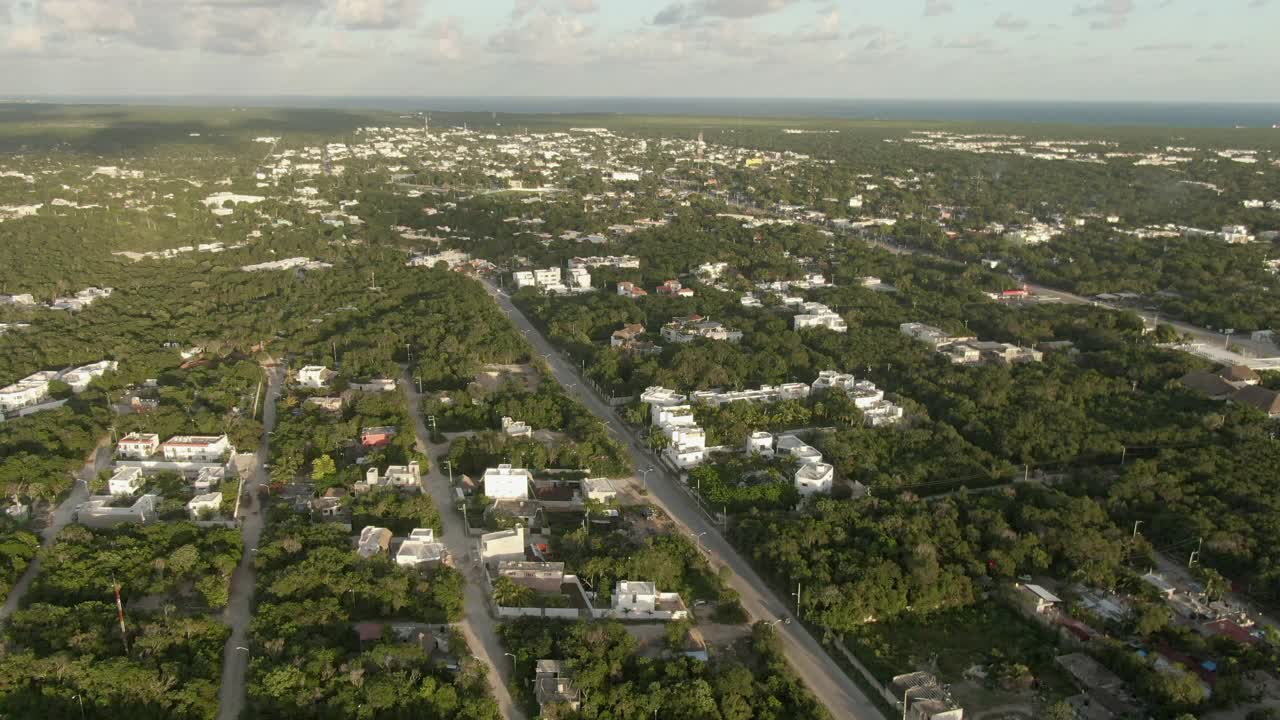 空中拍摄的树木中的房子在城市的天空，无人机下降在居民区附近-图卢姆，墨西哥视频素材