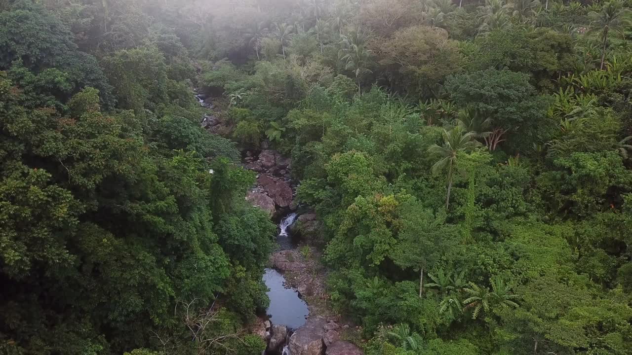 空中拍摄的溪流流动在森林，无人机飞越树木-卡坦端内斯，菲律宾视频素材