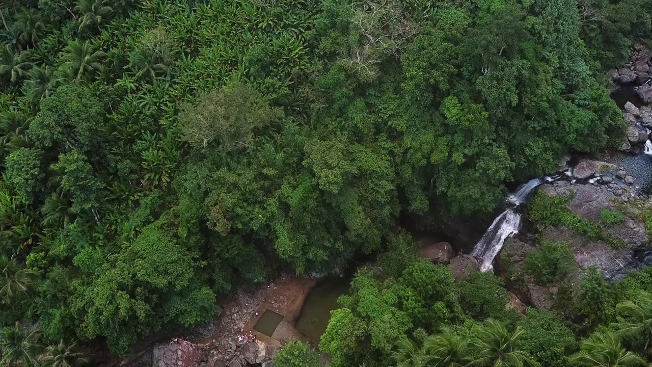 航拍的人在池塘中树木在森林度假-卡坦端内斯，菲律宾视频素材