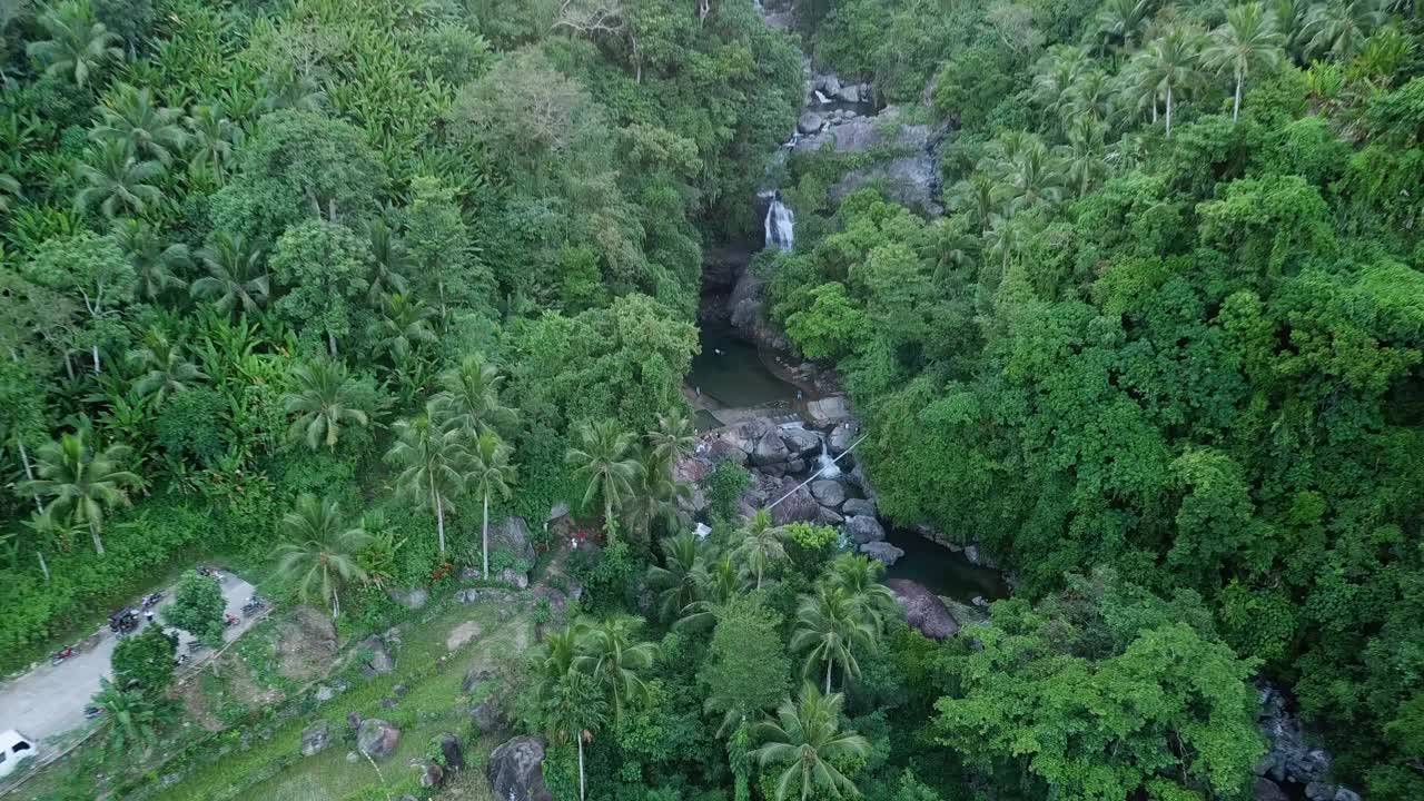 航拍池塘在树林中，无人机正在向上飞行-卡坦端内斯，菲律宾视频素材