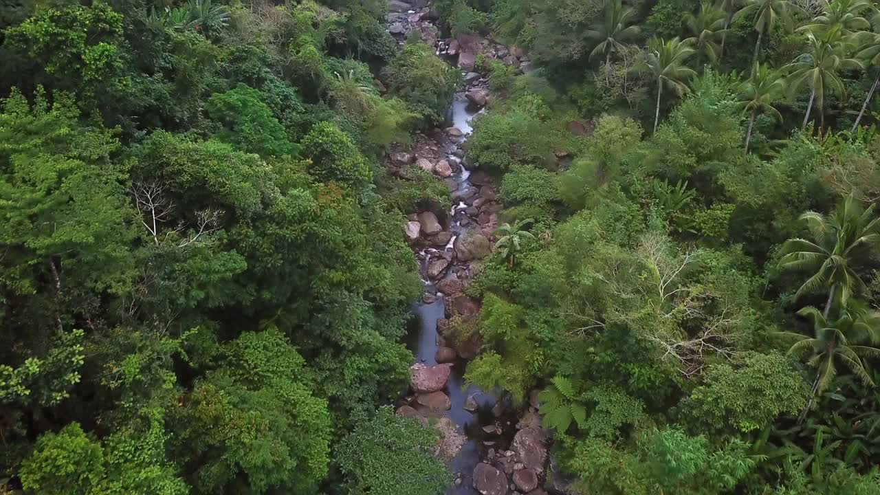 航拍在树林中的溪流-卡坦端内斯，菲律宾视频素材