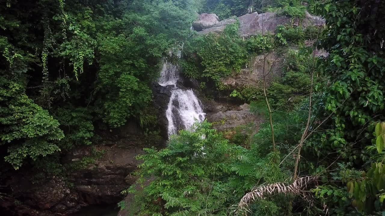 航拍的人在森林池塘度假期间，无人机是向后飞行-卡坦端内斯，菲律宾视频素材