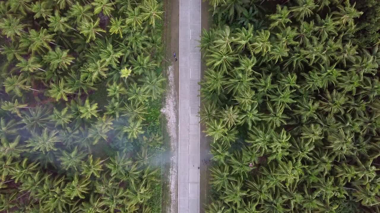 航拍的道路中棕榈树生长在森林- Siargao，菲律宾视频素材