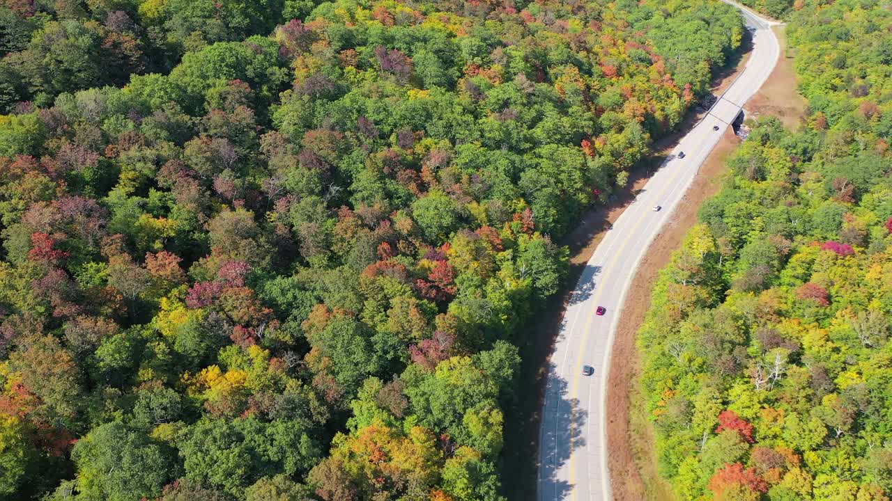 空中倾斜拍摄的道路上的车辆在秋天的树木在森林-克劳福德Notch，新罕布什尔州视频素材