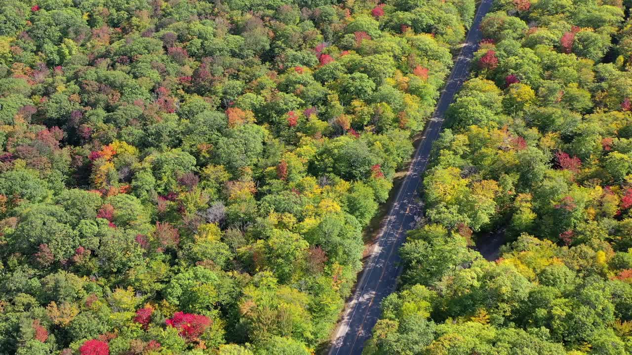 航拍的道路中树木在森林秋天-克劳福德Notch，新罕布什尔州视频素材