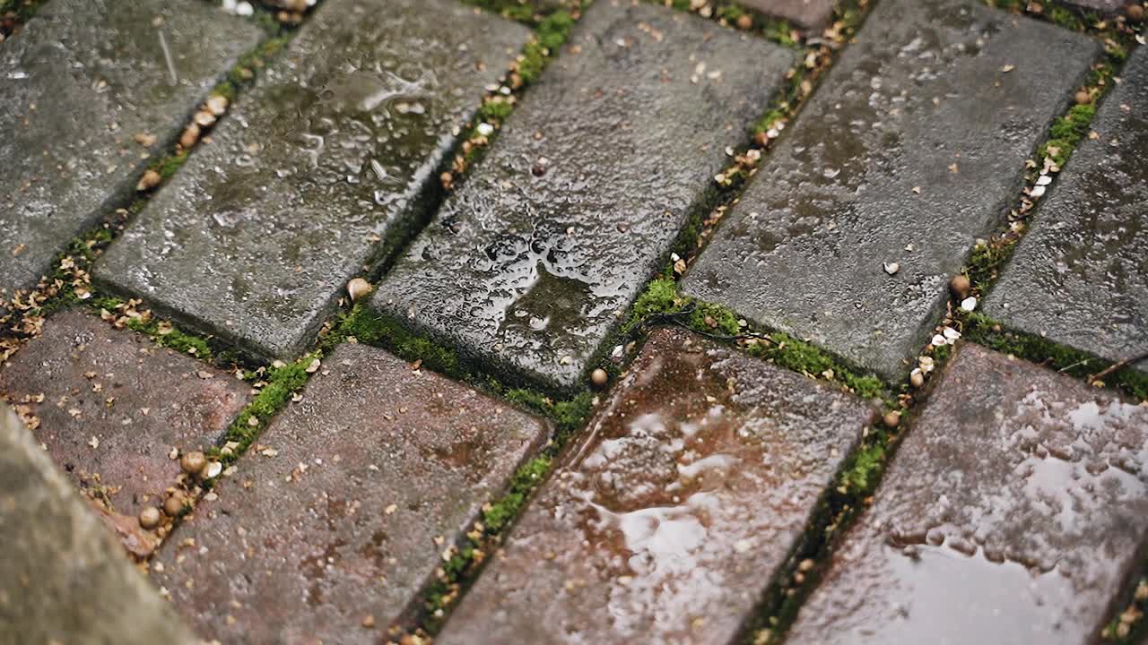 天气不好时，雨点会落在铺路石板上。近距离射击视频素材