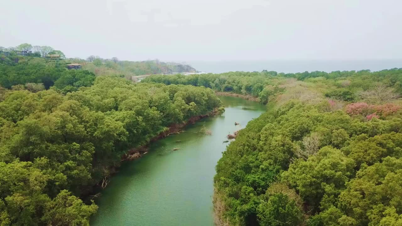 航拍的一个热带绿洲和一个溪流诺萨拉在丛林的位置。旅游度假理念。视频素材