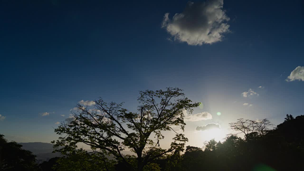 在色彩斑斓的夕阳下，茂盛的树木在阳光下的时间流逝。视频素材