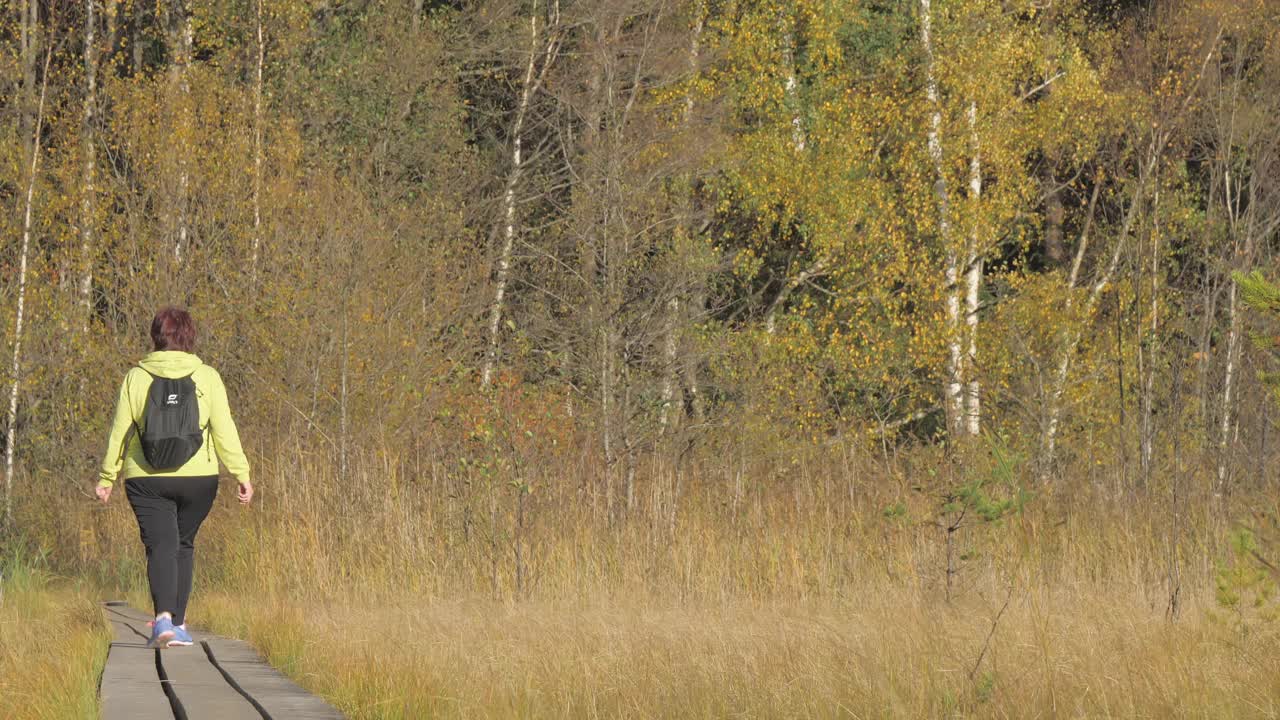 沼泽景观区位于森林小径自然保护区。地质学。赫尔辛基。Finland-October 9.2020视频素材