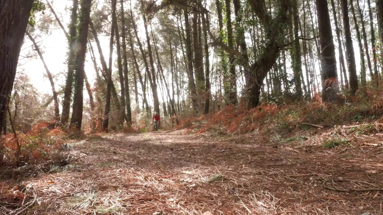 在森林里骑山地自行车视频素材