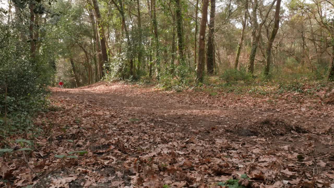 在森林里骑山地自行车视频素材