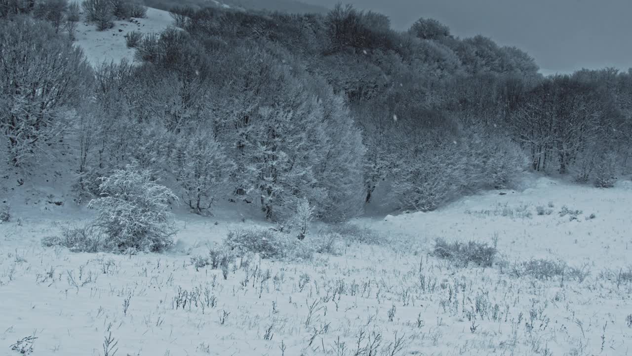 山上下雪了。冬天的风景视频素材