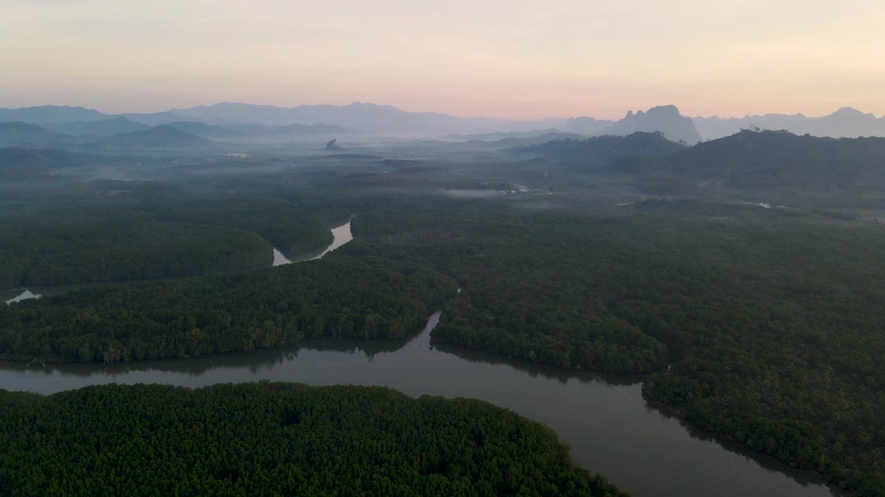 4k鸟瞰图多莉湿地河在红树林日出时间视频素材