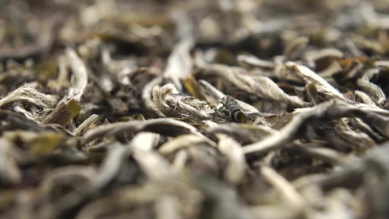 白色有机生物天然茶干叶视频素材