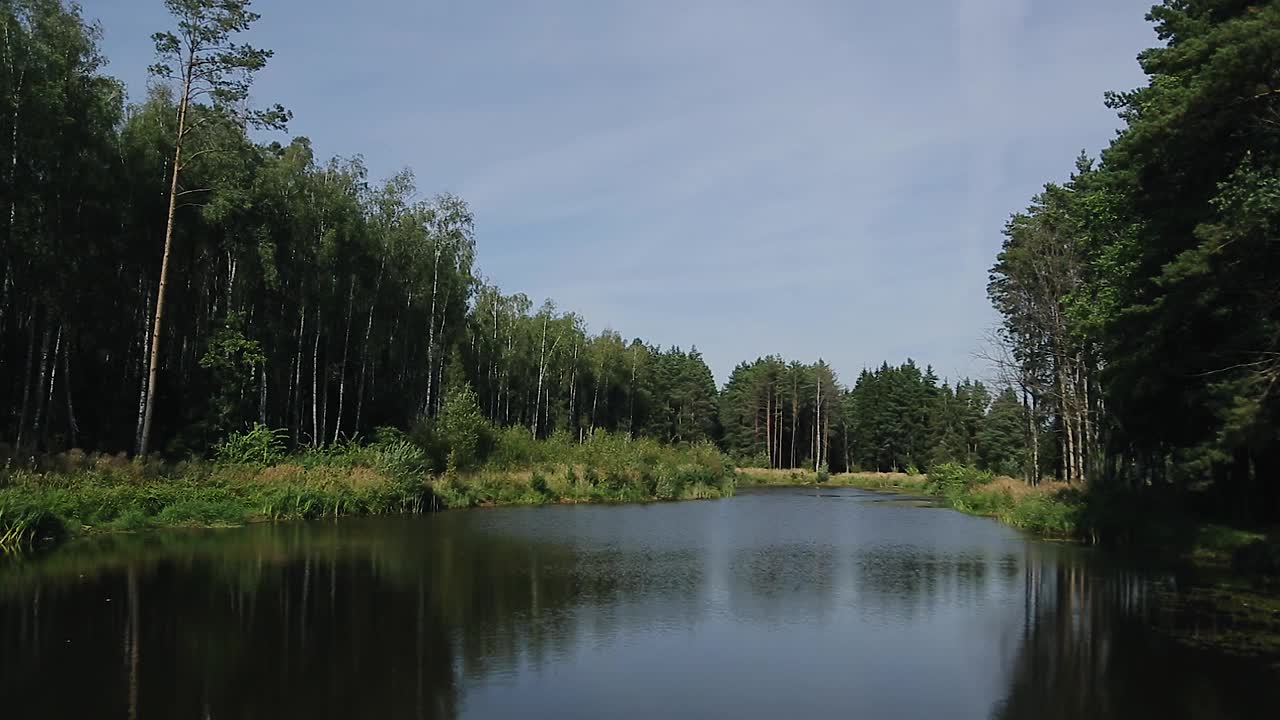 在森林里有一个美丽的小湖。微风吹来。一场持久战视频素材