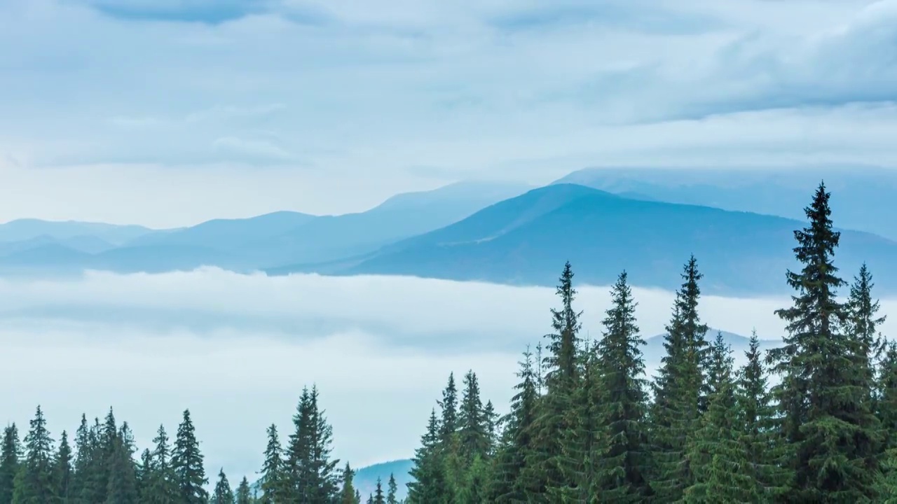 雨时，白云在山间秋山森林中缓缓移动。宁静的景色常绿松林在山上在雾。风景优美、美丽神秘。4 k。视频素材