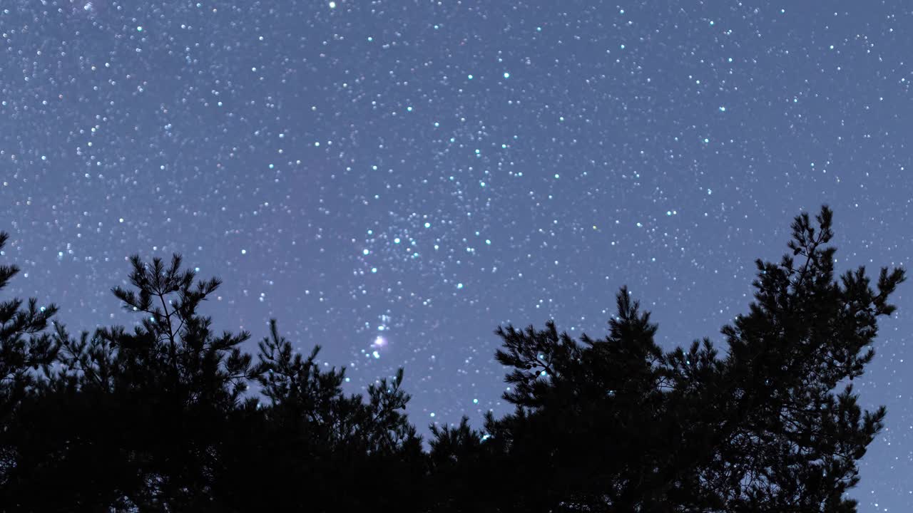 冬天的星星在松树上划过天空(延时/缩小)视频素材