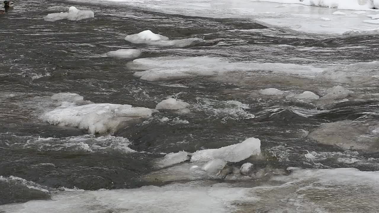 冬天河面结冰，冰雪融化视频素材