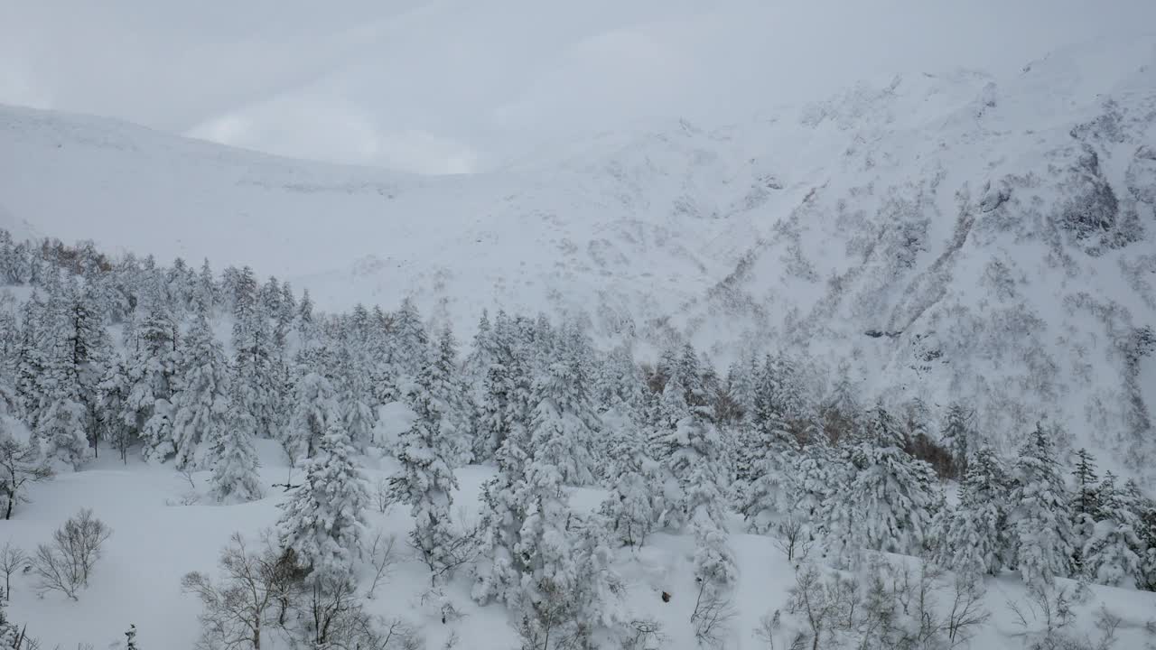 日本北海道上村Tokatidake滑雪视频素材