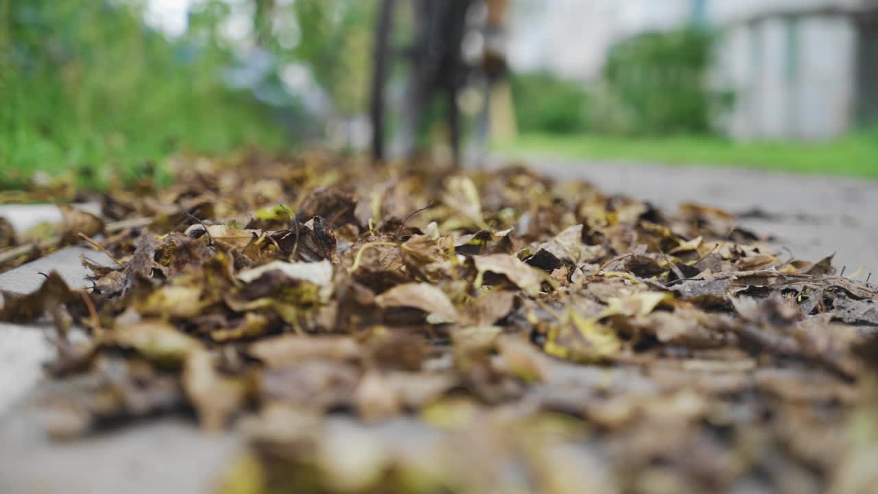 一个骑自行车的人骑在公园里的枯叶上。特写镜头视频素材