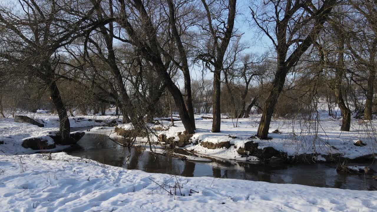 无人机低低地飞向河边。冬天的公园，雪地里有人类的脚印。冬季景观的航拍录像。特写镜头。视频素材