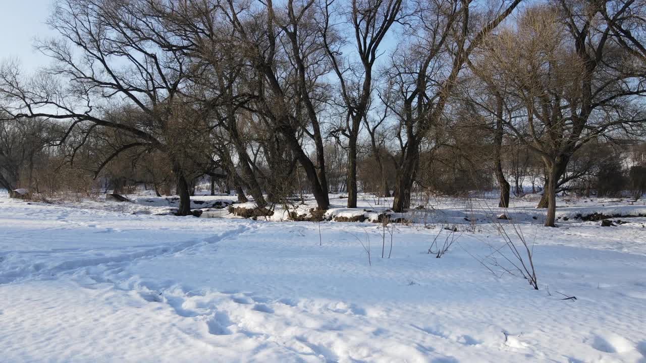 无人机低低地飞向河边。冬天的公园，雪地里有人类的脚印。冬季景观的航拍录像。视频素材