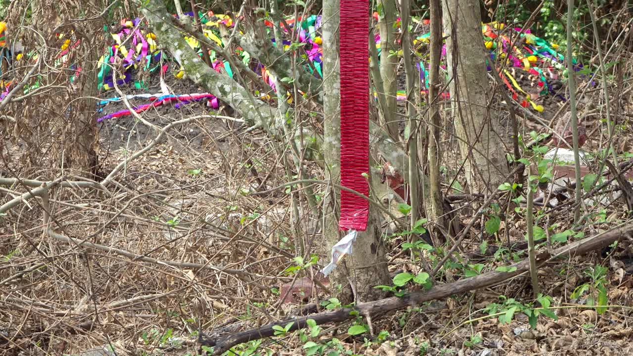 清明节时燃放的红色鞭炮，祭祖和祭祀视频素材