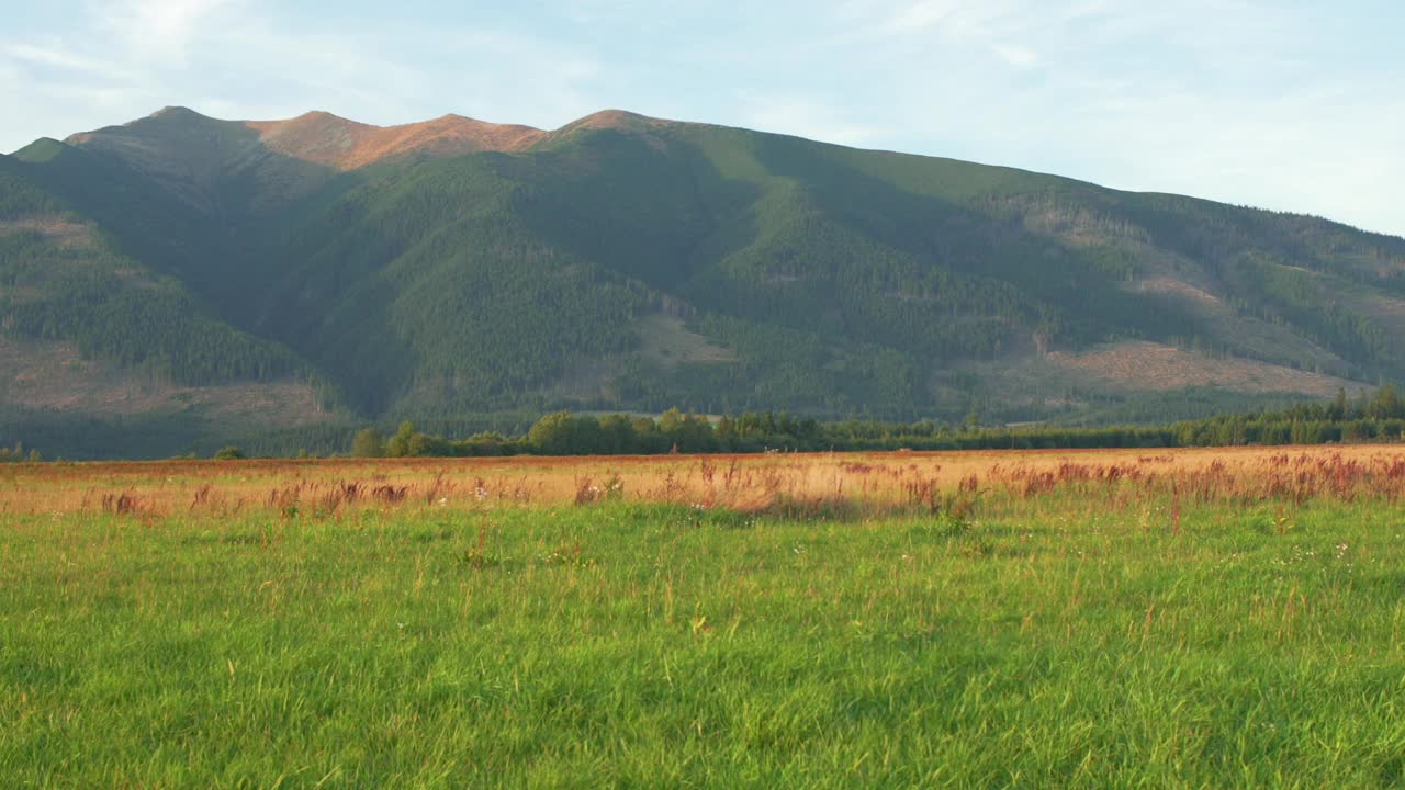 全景西塔特拉斯(Zapadne Tatry, Liptov地区)，在前景的绿色草地，在晴朗的秋日视频素材