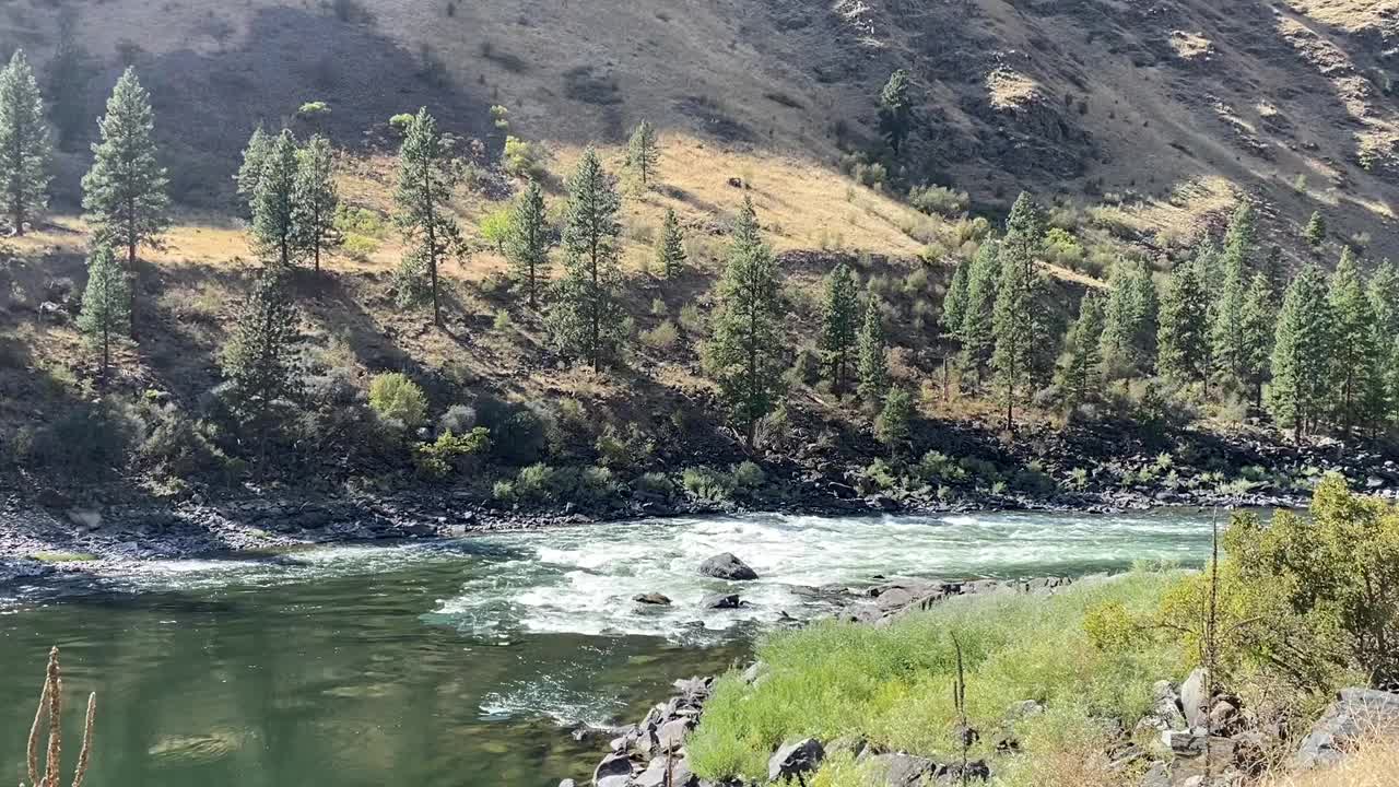 在绿树成荫的山区，缓慢移动的河流激流和白水视频素材