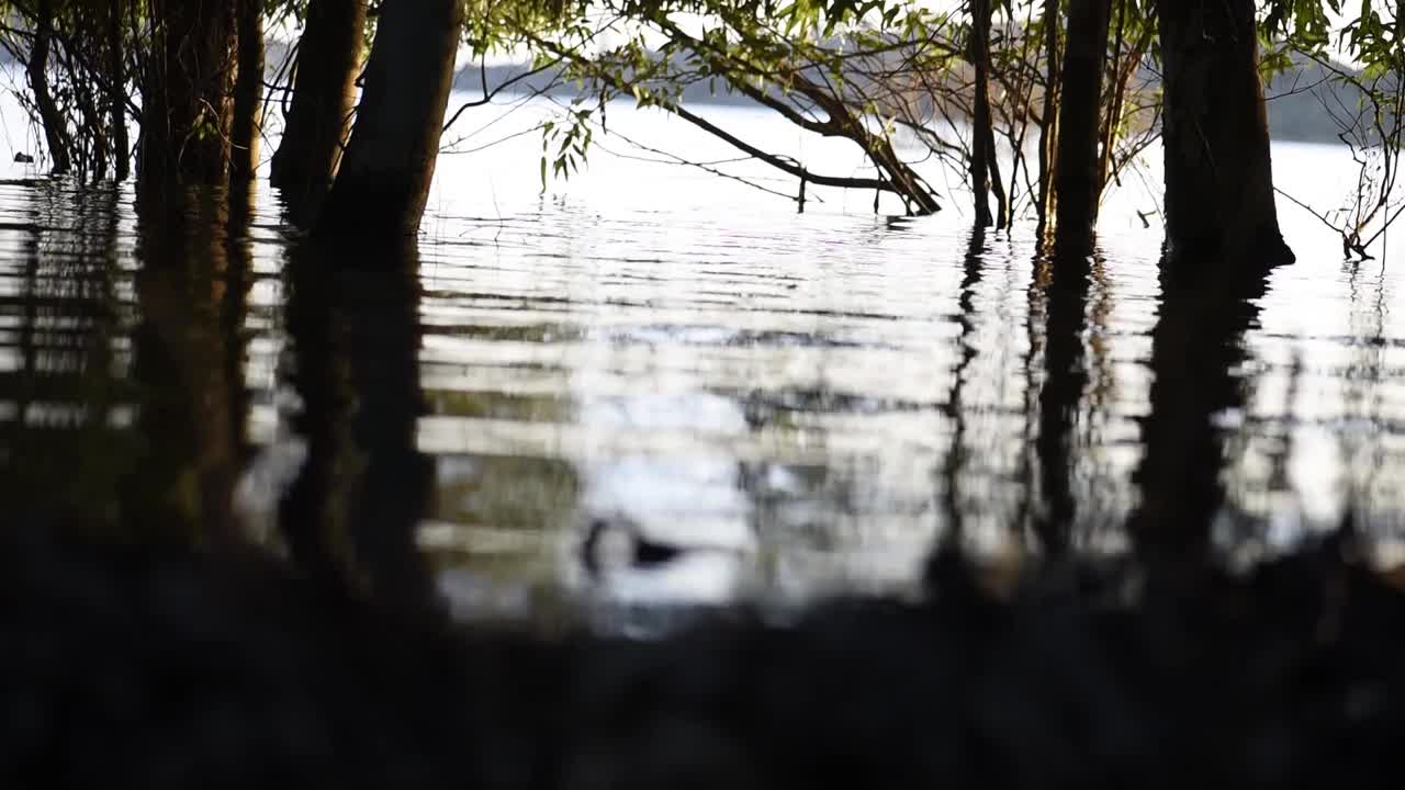 夕阳下的神秘泻湖，背光下的太阳。视频下载