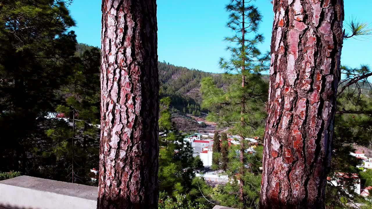 山与松之间的村庄视频素材