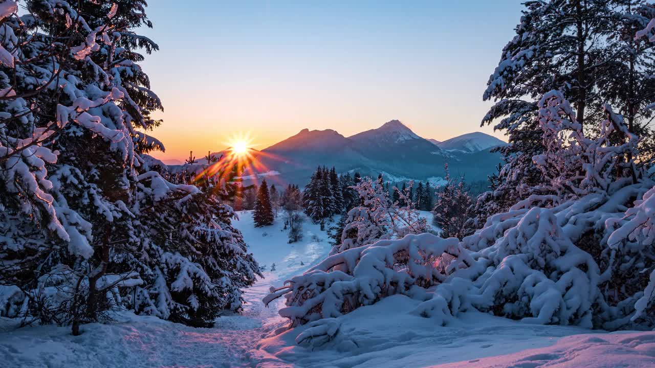 色彩斑斓的日出在白雪覆盖的阿尔卑斯山在宁静的冬季自然森林景观早晨时间流逝摄影视频素材