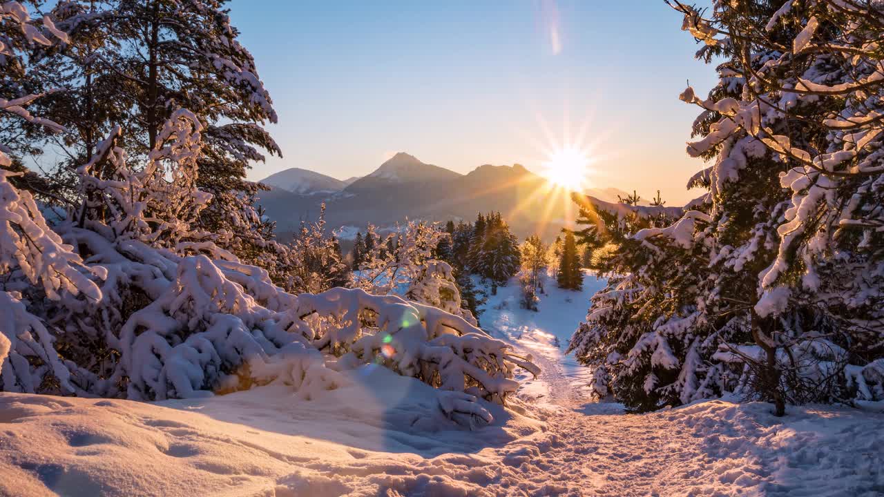 在雪山自然的野生冬季森林景观美丽的日落时光流逝视频素材