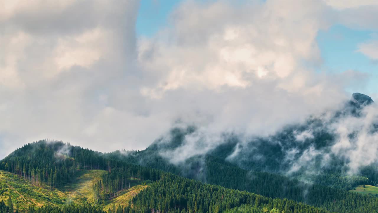 神秘的云形成在清新的春天森林山雨后在阳光明媚的早晨自然景观时间流逝视频素材